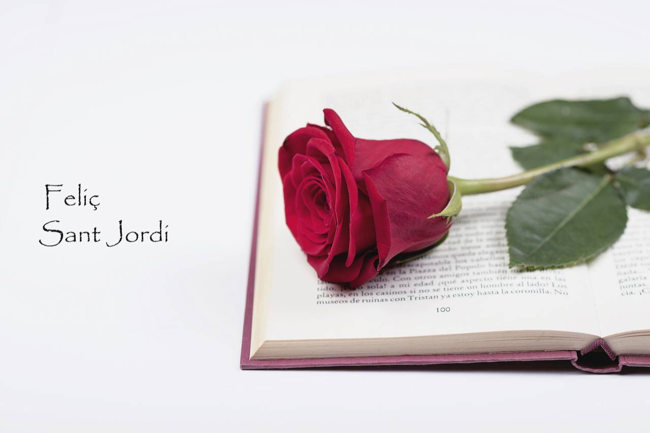 m_fld15_san jordi Katalanisch - Sant Jordi 2014 – Spracheninstitut Universität Leipzig